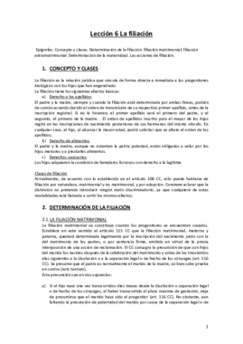 Tema 6 Derecho de Familia y sucesiones.pdf