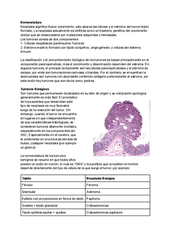 Neoplasia.pdf