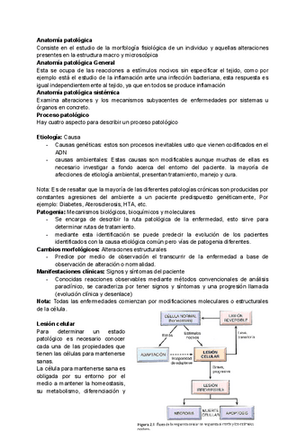 Lesion-celular-1.pdf