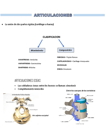 ARTICULACIONES.pdf