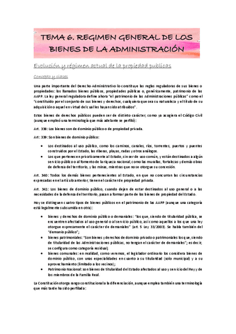 Admin-III.-Tema-6.pdf