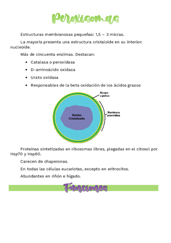 Peroxisomas.pdf