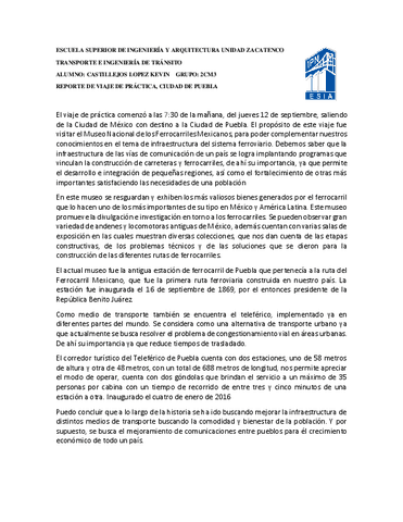 REPORTE-PUEBLA.pdf