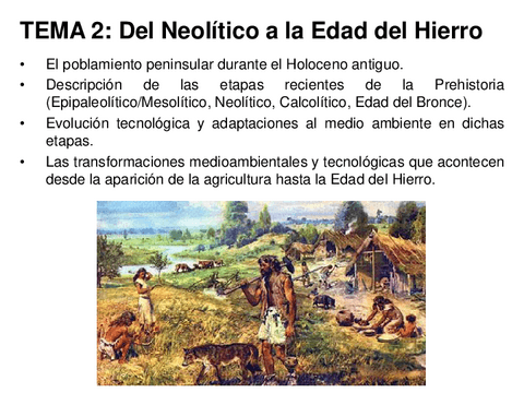 Tema-2.-Del-Neolitco-a-la-Edad-Hierro1.pdf