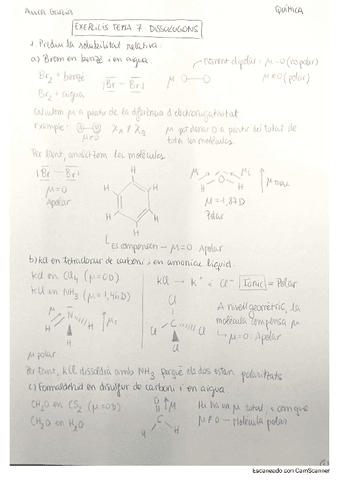 Exercicis-Dissolucions.pdf