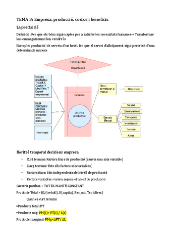 Tema-3-Empresa-produccio-costos-i-beneficis.pdf