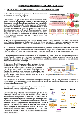 EXAMEN-PREGUNTAS-Teoria.pdf