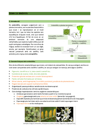 botanica-2n-parcial.pdf