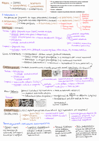 t5-roques-sedimentaries.pdf