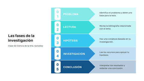 Fases-de-la-investigacion.png
