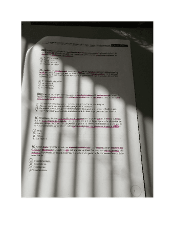 Examen-dinamica.pdf