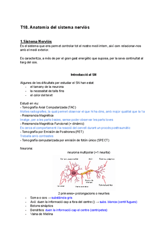 Sistema-Nervios.pdf