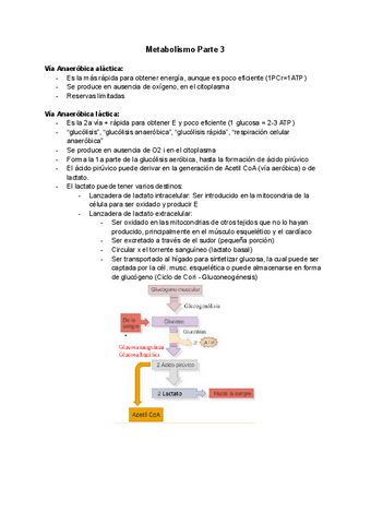 Document-Possibles-Preguntes-Examen.pdf