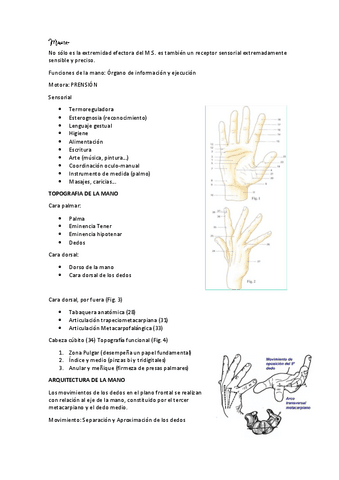 MANO.pdf