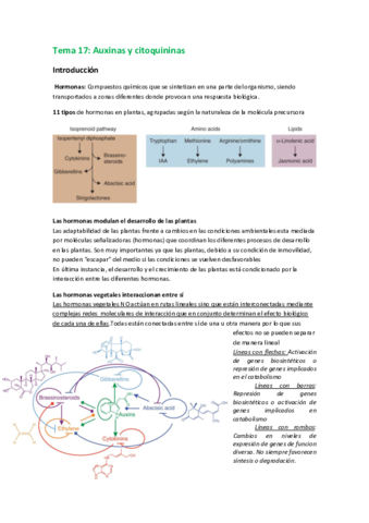 17. Auxinas y citoquininas.pdf