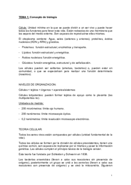 Apuntes TODO PDF.pdf