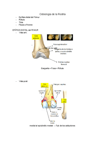 Osteologia-Miologia-y-Artrologia-Rodilla.pdf