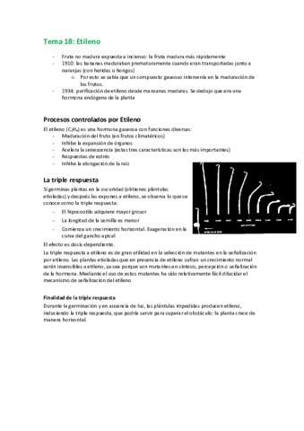 18. Etileno.pdf