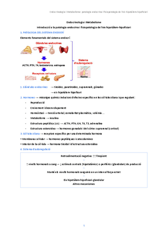 1.-Endocrinologia-i-Metabolisme.pdf