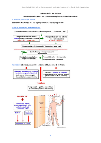 2.-Endocrinologia-i-Metabolisme.pdf