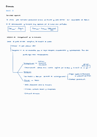 Biomasa-ERT-sesion-2.pdf