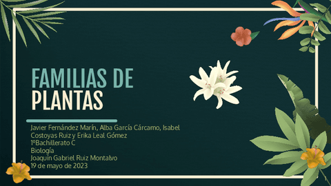 Familias-de-plantas.pdf