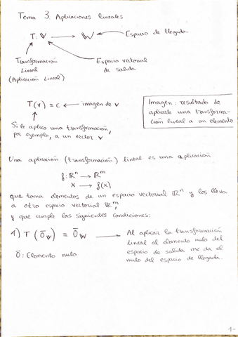 Aplicaciones-lineales..pdf