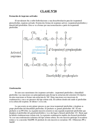 Clase 20- Bioquímica.pdf