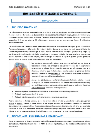 36.-Cirugia-de-las-glandulas-suprarrenales.pdf