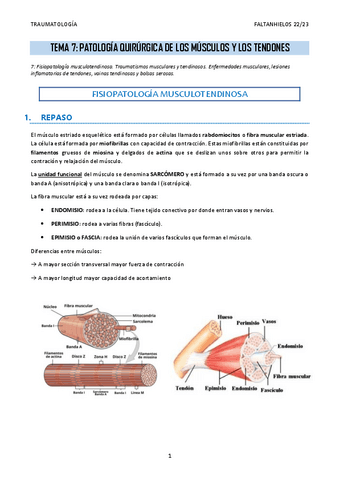 7.-Patologia-quirurgica-de-los-musculos-y-los-tendones.pdf