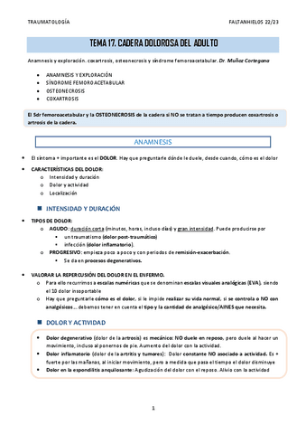 17.-Cadera-dolorosa-del-adulto.pdf