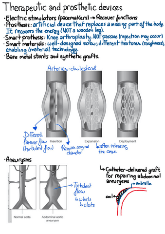 IDIM-Therapeutic-and-Prosthetic-devicesII.pdf