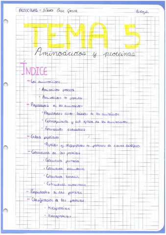Aminoacidos-y-proteinas.pdf