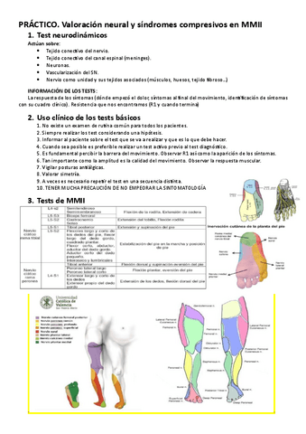 Practica-MMII.pdf