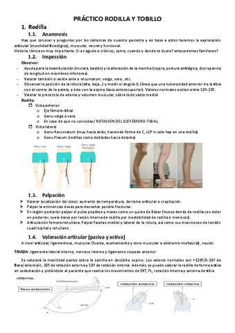Practica-Rodilla-y-Tobillo.pdf