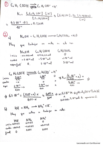 Ejercicios-Adicionales-Acido-II.pdf