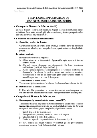 Apuntes-de-Gestion-de-Sistemas-de-Informacion-en-Organizacioens.pdf