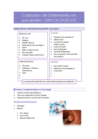 CIPA-II-Oncologia.pdf