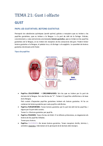 Tema 21.pdf