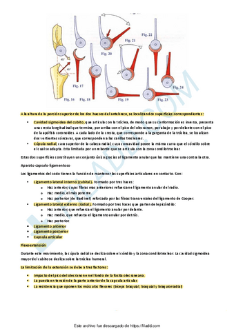 BIOMECANICA-TODO-7.pdf