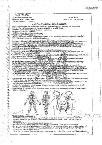 BIOMECANICA-TODO-9.pdf