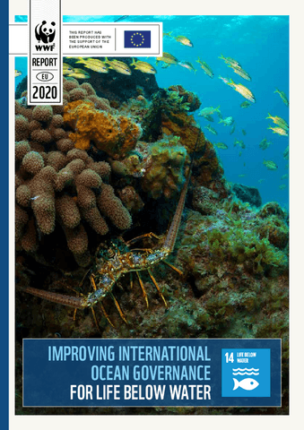 10.-optional.-2020-WWF-Imrpoving-international-ocean-governance.pdf