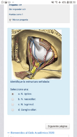 neuro-Genetica-humana-31.pdf