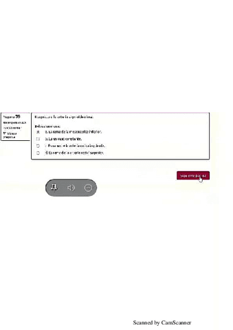 Locomotor8.pdf