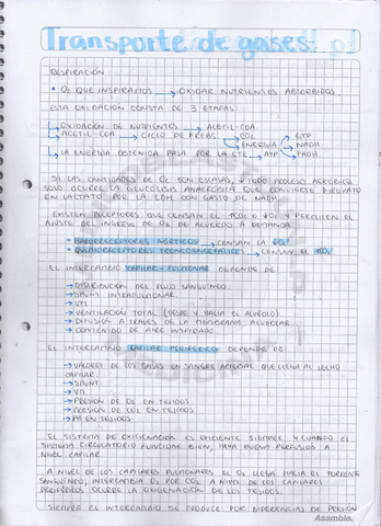 Transporte-de-gases-y-medio-interno.pdf