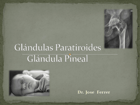 GLANDULA PARATIROIDES Y PINEAL (ENFERMEDADES).pdf