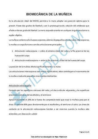 TEMAS-BIOMECANICA-1.pdf