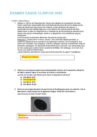 EXAMEN-CASOS-CLINICOS-CE-2-2020.pdf