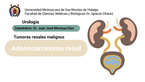 Cancer-renal.pdf