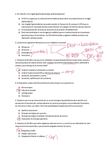 CAR-EXTRA-CORREGIDO.pdf